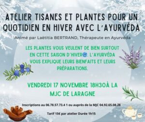 Lire la suite à propos de l’article Ayurveda : atelier tisanes et plantes